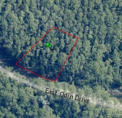 1345 E Odin Dr, Dunnellon, FL 34434