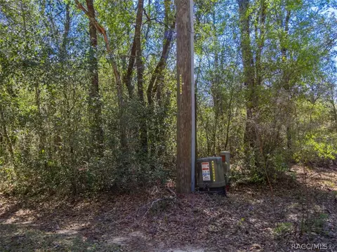 468 E Nicholas St, Hernando, FL 34442 photo 24