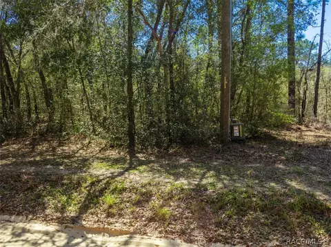 468 E Nicholas St, Hernando, FL 34442 photo 12