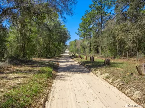468 E Nicholas St, Hernando, FL 34442 photo 18