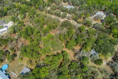 468 E Nicholas St, Hernando, FL 34442 photo 9