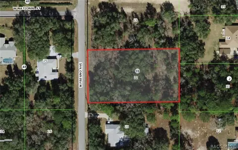 785 N Fresno Ave, Hernando, FL 34442