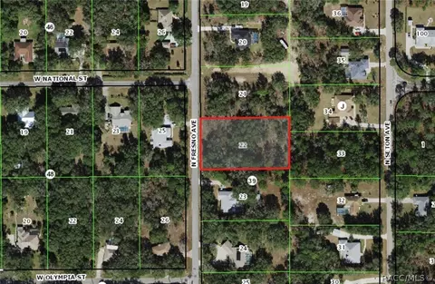 785 N Fresno Ave, Hernando, FL 34442 photo 3
