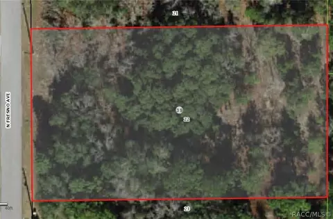 785 N Fresno Ave, Hernando, FL 34442 photo 2