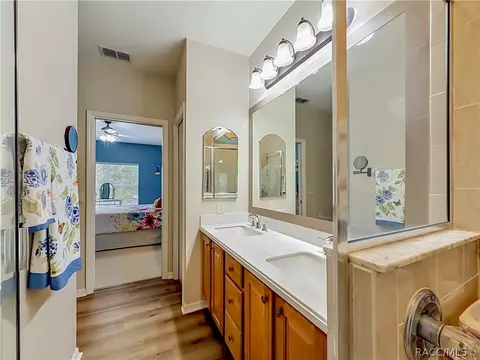 Bath - 1660 W Spring Meadow Loop, Lecanto, FL 34461 photo 5 of 7