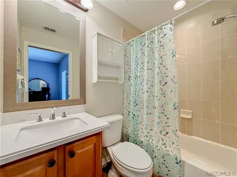 Bath - 1660 W Spring Meadow Loop, Lecanto, FL 34461 photo 6 of 7