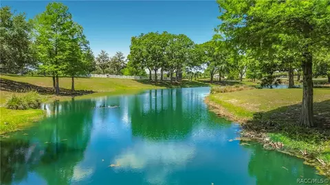 View/Area - 1660 W Spring Meadow Loop, Lecanto, FL 34461 photo 1 of 7