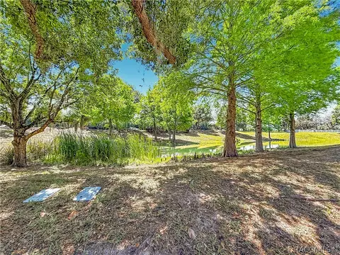 Other - 1660 W Spring Meadow Loop, Lecanto, FL 34461 photo 7 of 10