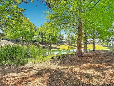 Other - 1660 W Spring Meadow Loop, Lecanto, FL 34461 photo 8 of 10