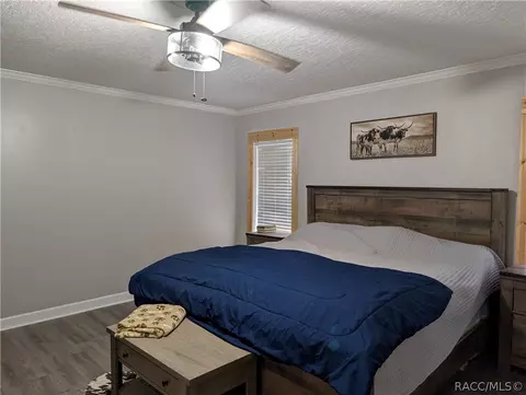 4150 N Elwyn Pt, Hernando, FL 34442 photo 16