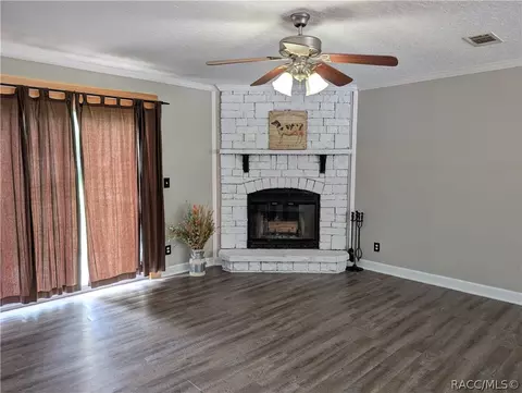 4150 N Elwyn Pt, Hernando, FL 34442 photo 7