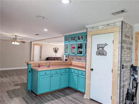 4150 N Elwyn Pt, Hernando, FL 34442 photo 11