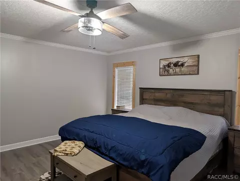 4150 N Elwyn Pt, Hernando, FL 34442 photo 15