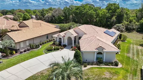 View/Area - 114 W Mickey Mantle Path, Hernando, FL 34442 photo 4 of 10
