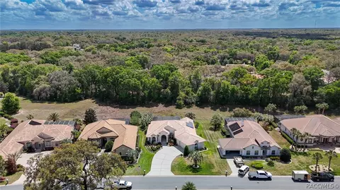 View/Area - 114 W Mickey Mantle Path, Hernando, FL 34442 photo 6 of 10
