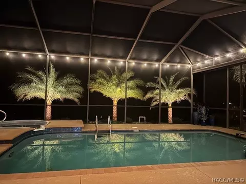 Exterior - 114 W Mickey Mantle Path, Hernando, FL 34442 photo 4 of 21