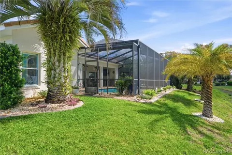 Exterior - 114 W Mickey Mantle Path, Hernando, FL 34442 photo 17 of 21