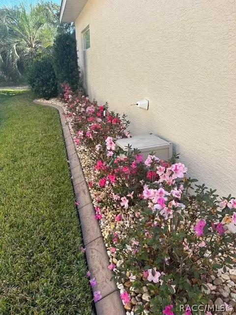 Other - 114 W Mickey Mantle Path, Hernando, FL 34442 photo 22 of 28