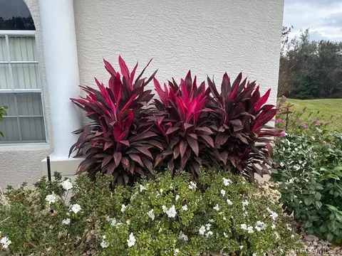 Exterior - 114 W Mickey Mantle Path, Hernando, FL 34442 photo 12 of 21