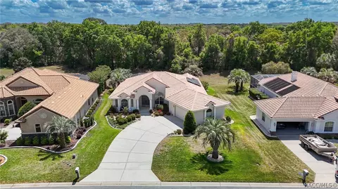 View/Area - 114 W Mickey Mantle Path, Hernando, FL 34442 photo 1 of 10
