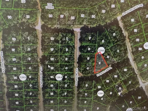 431 E Marlow Pl, Dunnellon, FL 34434