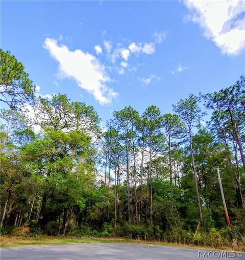 8029 N Pine Haven Pt, Crystal River, FL 34428