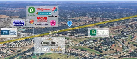 161 W Norvell Bryant Hwy, Hernando, FL 34442 photo 3