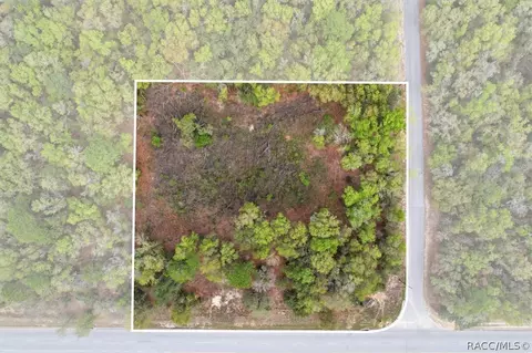 161 W Norvell Bryant Hwy, Hernando, FL 34442 photo 4