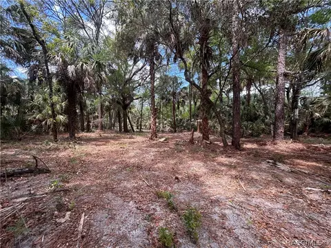 7544 N Bitterroot Dr, Crystal River, FL 34428 photo 3