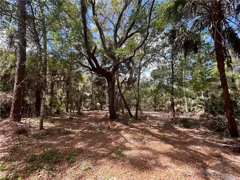 7544 N Bitterroot Dr, Crystal River, FL 34428 photo 2