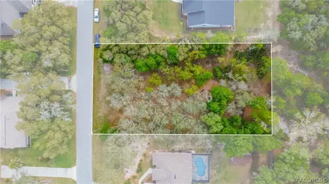 2196 E Celina St, Inverness, FL 34453