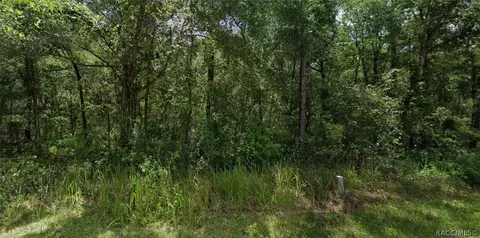 305 N Fitzpatrick Ave, Inverness, FL 34453