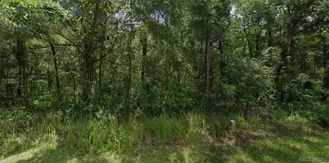 305 N Fitzpatrick Ave, Inverness, FL 34453