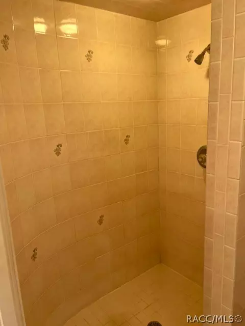 Bath - 675 E Charleston Ct, Hernando, FL 34442 photo 4 of 5