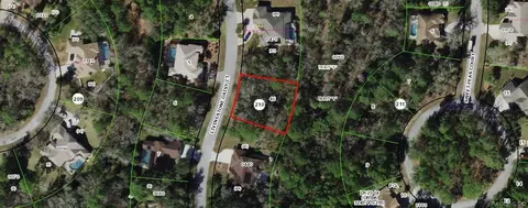 11 Livingstone Daisy Ct, Homosassa, FL 34446