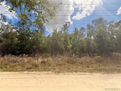 2907 Clearwood St, Inverness, FL 34452