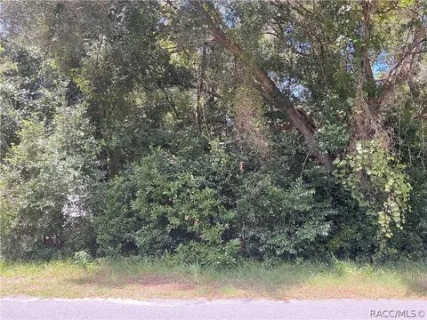 3953 E Sanders St, Inverness, FL 34453