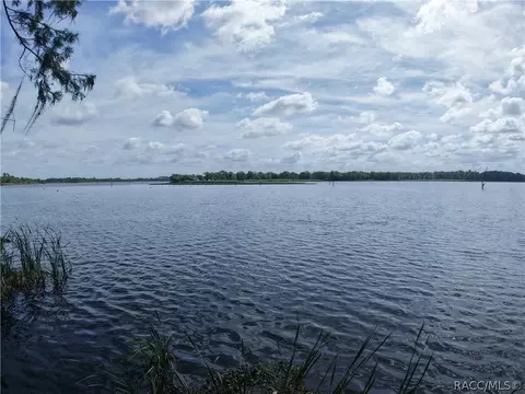 11590 SE 203rd Pl, Inglis, FL 34449 photo 77