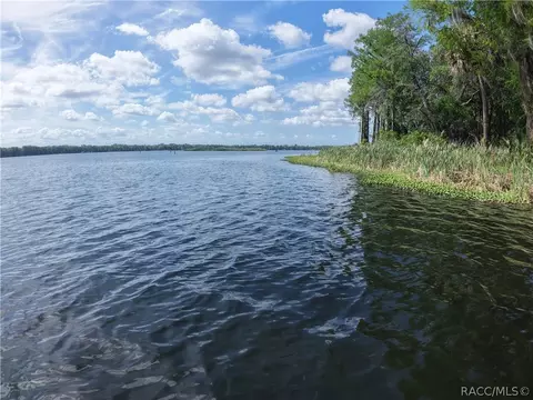 11590 SE 203rd Pl, Inglis, FL 34449 photo 71