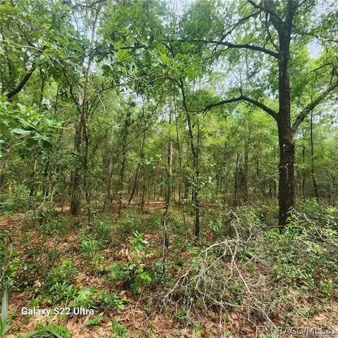 3172 E Kay Ln, Inverness, FL 34453