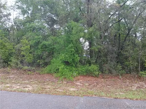 7851 N Vince Dr, Dunnellon, FL 34434