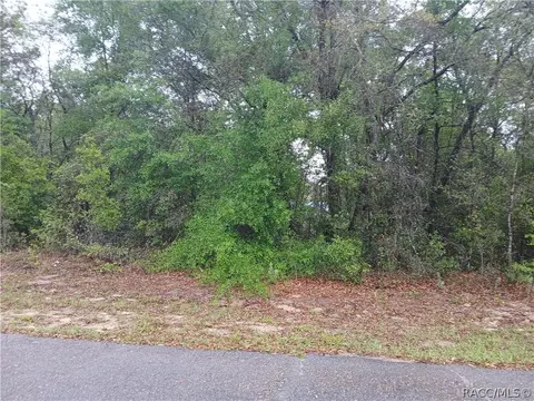 7851 N Vince Dr, Dunnellon, FL 34434