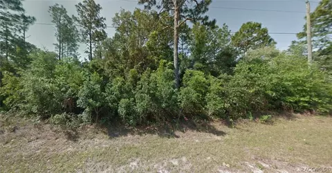 3248 W Talinum Pl, Citrus Springs, FL 34433