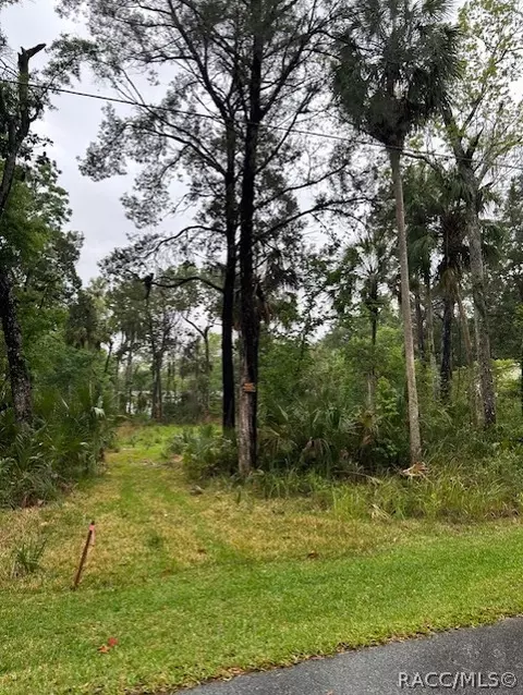 11070 W Bareto Ln, Homosassa, FL 34448