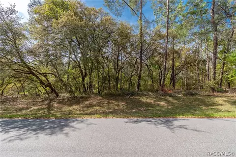 tbd SW 32nd Lot 30 Cir, Ocala, FL 34473 photo 7