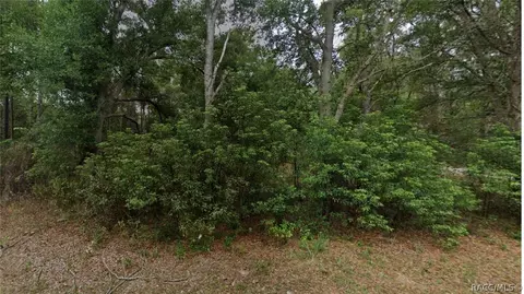 8547 N Fauci Pt, Crystal River, FL 34428