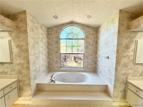 Bath - 604 W Massachusetts St, Hernando, FL 34442 photo 8 of 10