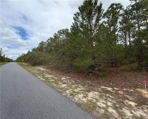 4231 W Bonanza Dr, Beverly Hills, FL 34465