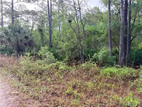 7494 W Nadel Dr, Crystal River, FL 34428