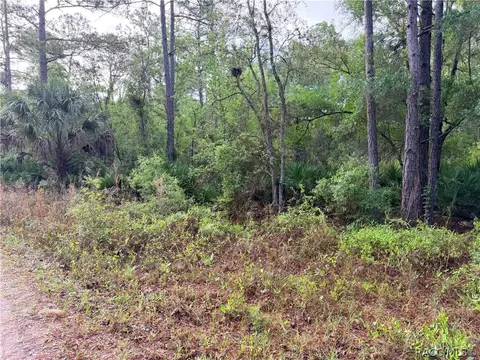 7494 W Nadal Dr, Crystal River, FL 34428